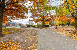 South Parkdale